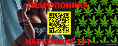 jwh Белореченск