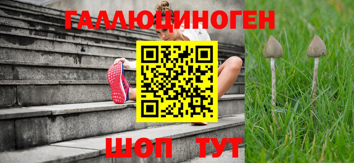 Галлюциногенные грибы GOLDEN TEACHER Балабаново